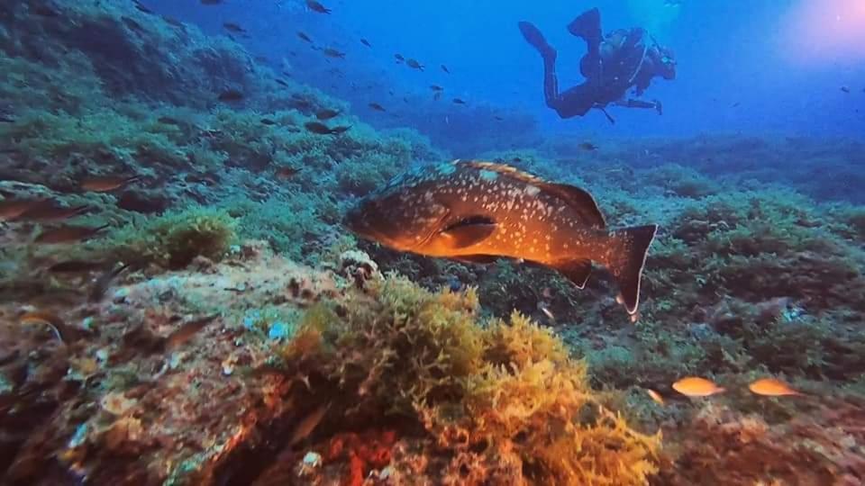 Cabo De Palos Apartamento Vacacional Exteriér fotografie